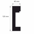 100 Meter Fassadenleisten L-7 120x40 mm